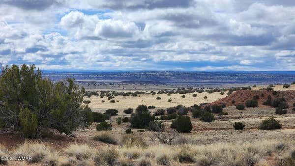 0 PETRIFIED FOREST RD, PETRIFIED FOREST NAT'L PARK, AZ 86028 - Image 1