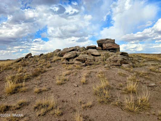 LOT 299 CARRIZO RANCHES, ST. JOHNS, AZ 85936, photo 5 of 7