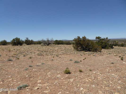 CCR UNIT 4, LOT 550, HEBER, AZ 85928, photo 4 of 7