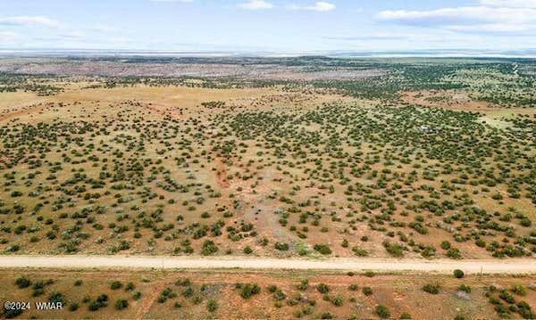 TBD 202-28-002 COUNTY ROAD 6040, ST. JOHNS, AZ 85936 - Image 1