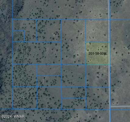 LOT 9 BIG SIX RANCHES, CONCHO, AZ 85924 - Image 1