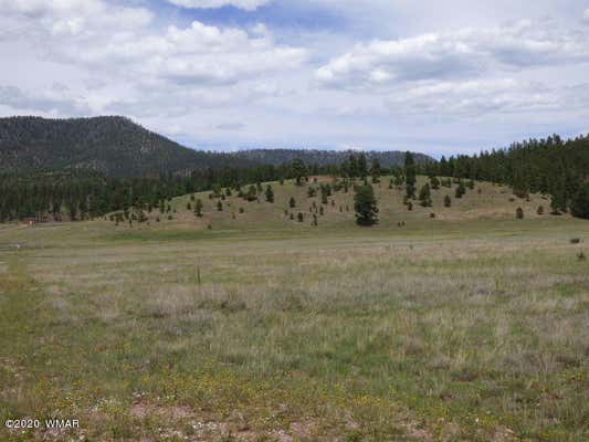 LOT 23 THE RANCH AT ALPINE, ALPINE, AZ 85920, photo 2 of 24