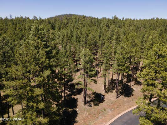 9586 SIERRA SPRINGS WAY, PINETOP, AZ 85935 - Image 1