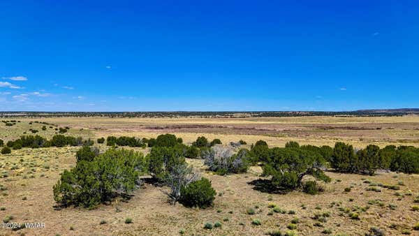 TBD N6655 40.45 ACRES, ST. JOHNS, AZ 85936, photo 4 of 26