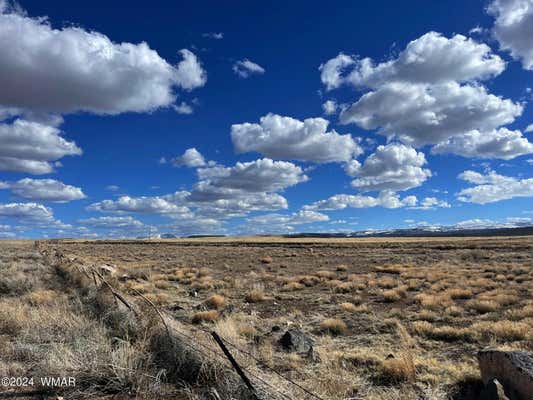 TBD HIGHWAY 60, SPRINGERVILLE, AZ 85938 - Image 1