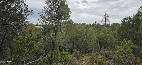 1872 LITTLE DOE TRL, HEBER, AZ 85928 - Image 1