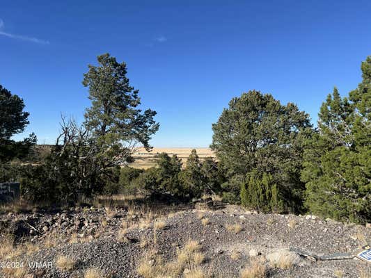 TBD S SKYLINE DRIVE, EAGAR, AZ 85925 - Image 1