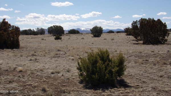 00 CONCHO VALLEY, CONCHO, AZ 85924 - Image 1