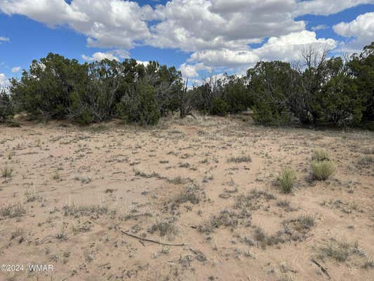 NONE G-BAR RANCH # 1, ST. JOHNS, AZ 85936, photo 2 of 4