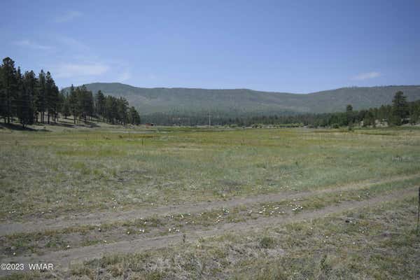 TBD CR 2275 1.22 ACRE, NUTRIOSO, AZ 85932, photo 5 of 5