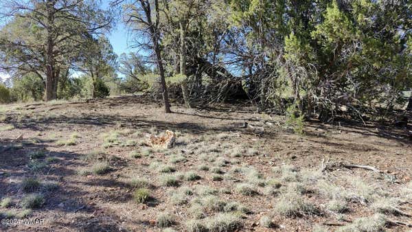 2316 THUNDERBIRD CIR, OVERGAARD, AZ 85933, photo 5 of 5