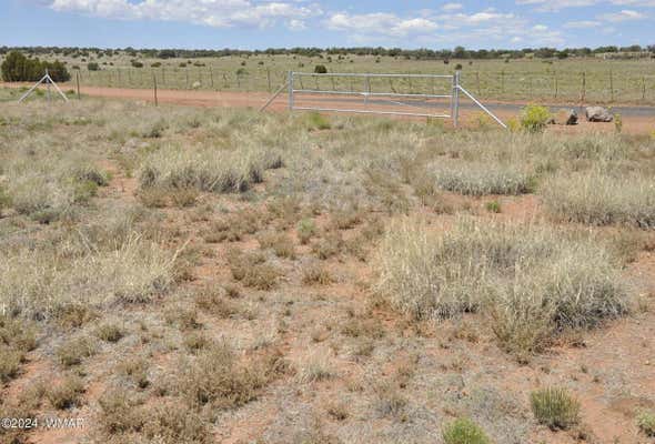 697B HOSS RANCH RD, CONCHO, AZ 85924, photo 2 of 13