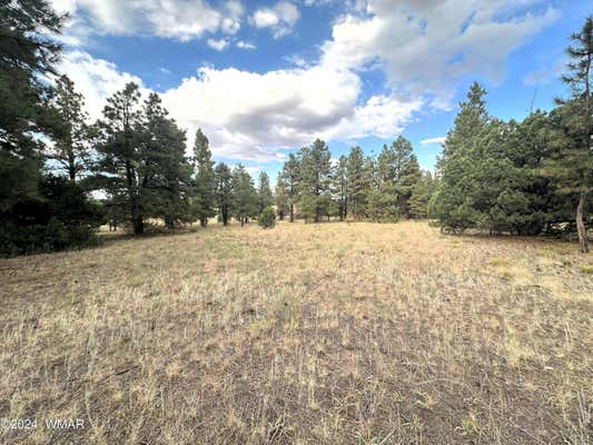 LOT 5A RED CABIN RANCH, VERNON, AZ 85940, photo 3 of 13