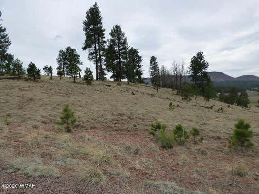 LOT 14 THE RANCH AT ALPINE, ALPINE, AZ 85920, photo 2 of 30