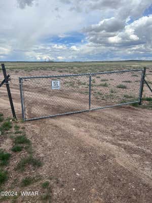 TBD 40.5 ACRES AT CARRIZO RANCHES, ST. JOHNS, AZ 85936, photo 4 of 6