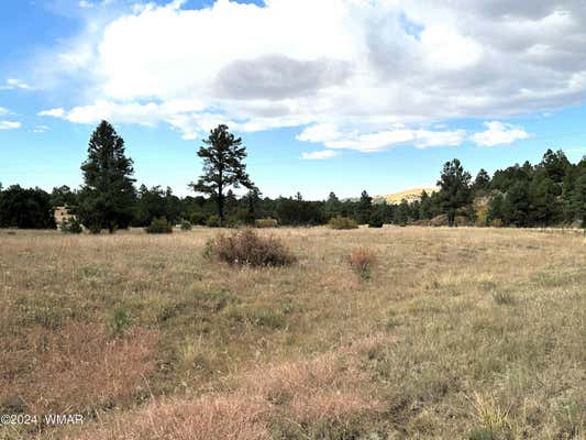 LOT 5A RED CABIN RANCH, VERNON, AZ 85940, photo 5 of 13