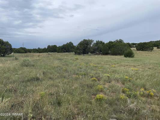 27 COUNTY ROAD 8206, CONCHO, AZ 85924 - Image 1