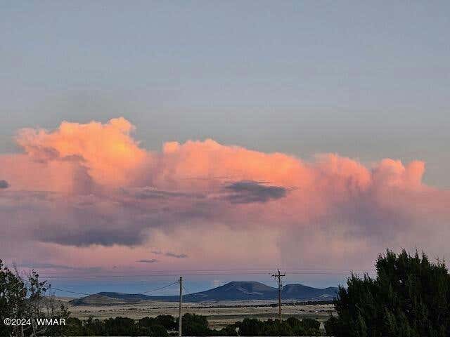 TBD 9.22 ACRES, CONCHO, AZ 85924, photo 1 of 13