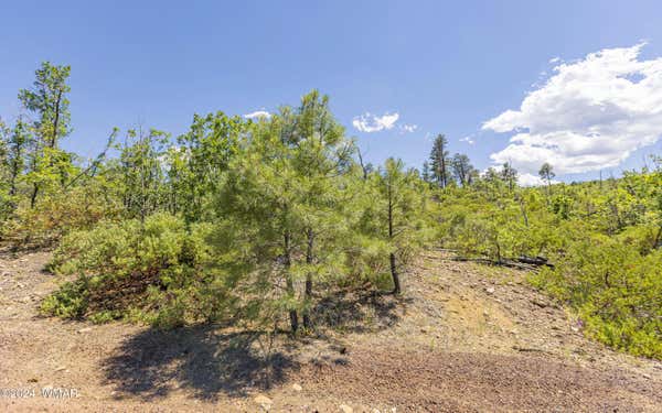 TBD FIELDY ROAD 11.97 ACRES, SHOW LOW, AZ 85901, photo 3 of 22