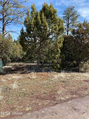 4864 BISON TRL # 40, LAKESIDE, AZ 85929 - Image 1