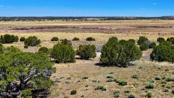 TBD N6655 40.45 ACRES, ST. JOHNS, AZ 85936, photo 3 of 26