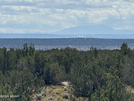 148 RED SKY RANCH, ST. JOHNS, AZ 85936 - Image 1