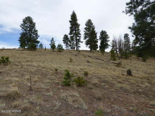 LOT 14 THE RANCH AT ALPINE, ALPINE, AZ 85920, photo 5 of 30