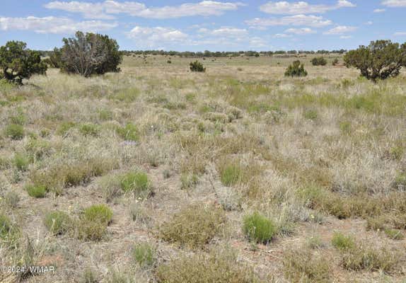 697B HOSS RANCH RD, CONCHO, AZ 85924, photo 5 of 13