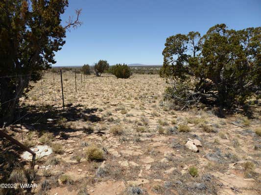 CCR UNIT 4, LOT 550, HEBER, AZ 85928, photo 2 of 7