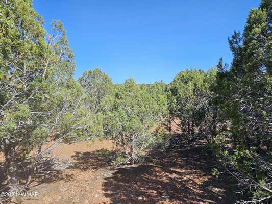 TBD SUNBURST, SHOW LOW, AZ 85901, photo 2 of 37