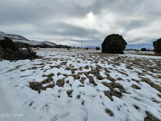 LOT 96 COUNTY ROAD 2003, NUTRIOSO, AZ 85932 - Image 1