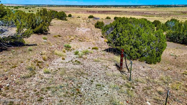 TBD N6655 40.45 ACRES, ST. JOHNS, AZ 85936, photo 2 of 26