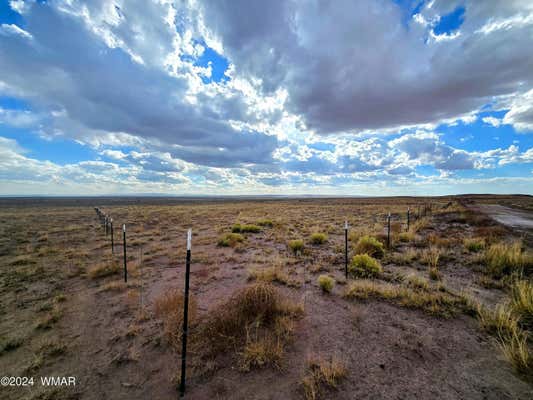 LOT 299 CARRIZO RANCHES, ST. JOHNS, AZ 85936, photo 2 of 7