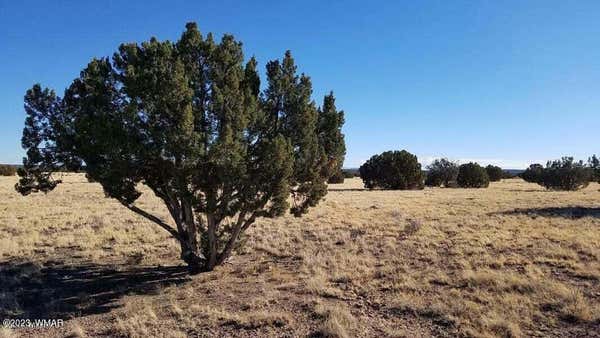 7687 ARROYO PLATA DR, SHUMWAY, AZ 85901, photo 5 of 20