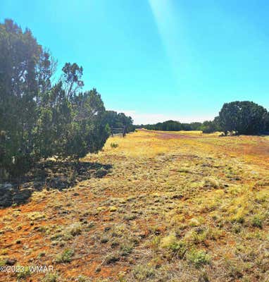 20 COUNTY RD, CONCHO, AZ 85924 - Image 1