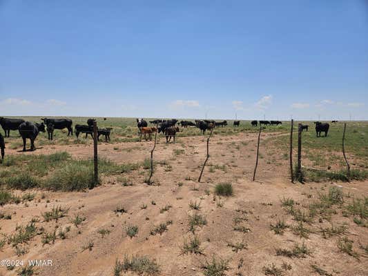 TBD NEAR OLD HOLBROOK ROAD, HOLBROOK, AZ 86025 - Image 1