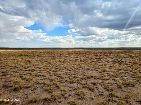 LOT 299 CARRIZO RANCHES, ST. JOHNS, AZ 85936, photo 3 of 7