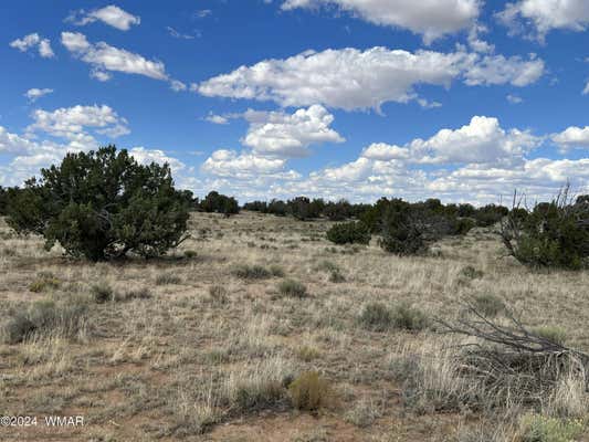 NONE G-BAR RANCH # 1, ST. JOHNS, AZ 85936, photo 3 of 4