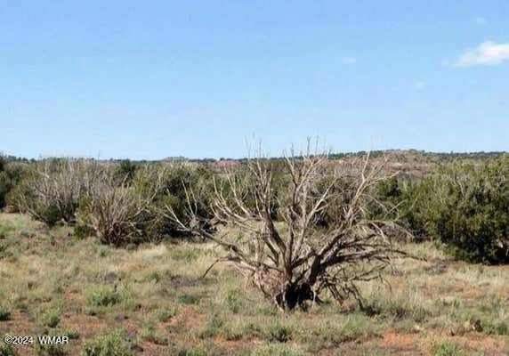 TBD 201-35-008B, CONCHO, AZ 85924 - Image 1