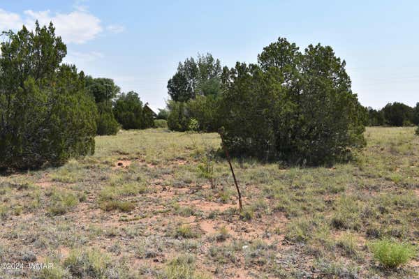 72 DAWN LN, CONCHO, AZ 85924 - Image 1