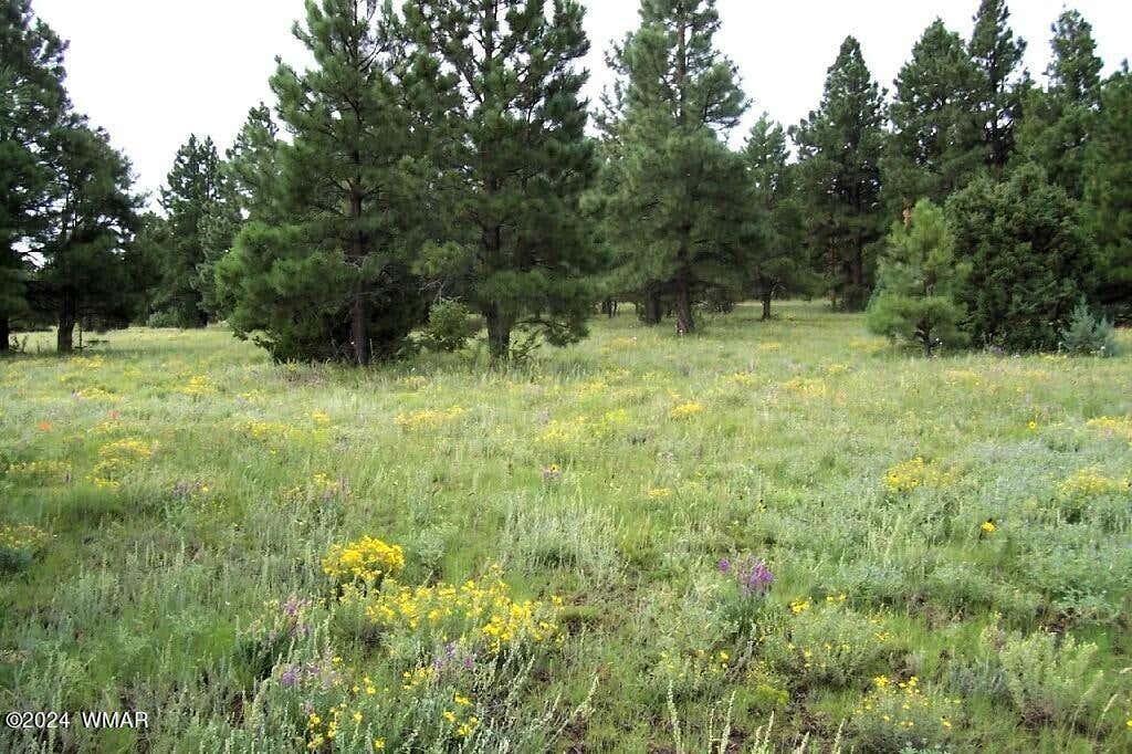 LOT 5A RED CABIN RANCH, VERNON, AZ 85940, photo 1 of 13