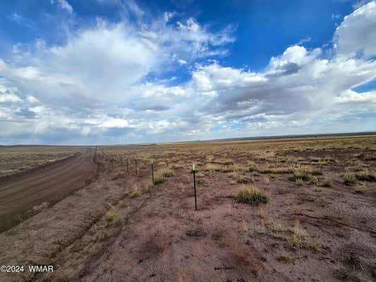 LOT 299 CARRIZO RANCHES, ST. JOHNS, AZ 85936, photo 4 of 7