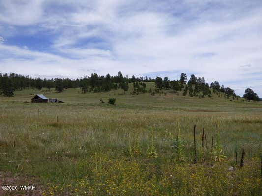 LOT 23 THE RANCH AT ALPINE, ALPINE, AZ 85920, photo 4 of 24