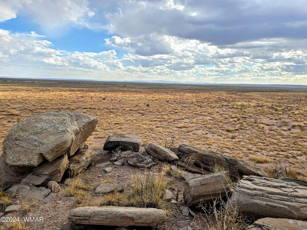 LOT 299 CARRIZO RANCHES, ST. JOHNS, AZ 85936, photo 1 of 7