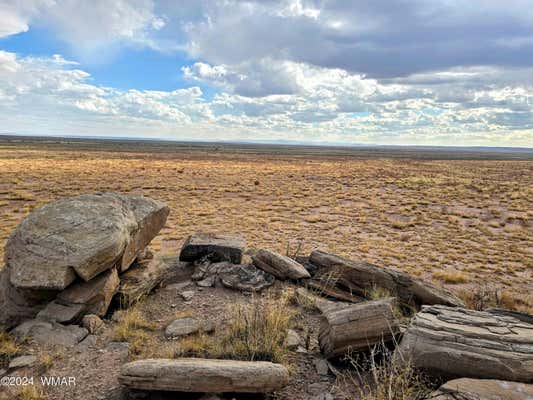 LOT 299 CARRIZO RANCHES, ST. JOHNS, AZ 85936 - Image 1