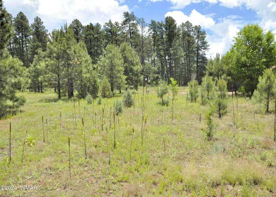 35V ROSEMARIE COURT, PINETOP, AZ 85935 - Image 1