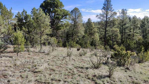 2316 THUNDERBIRD CIR, OVERGAARD, AZ 85933, photo 3 of 5