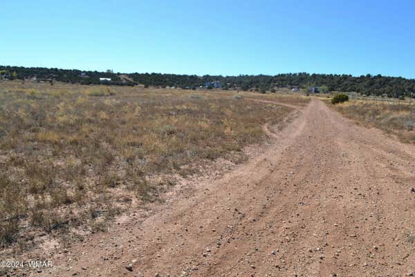 058P BAR DITCH ROAD, TAYLOR, AZ 85939 - Image 1