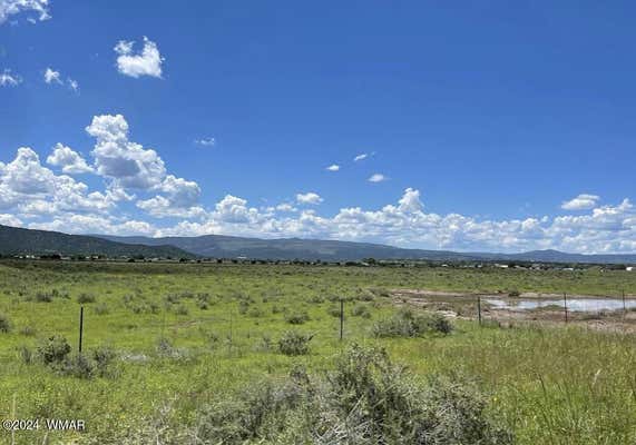 TBD PARCEL 3, SPRINGERVILLE, AZ 85938 - Image 1