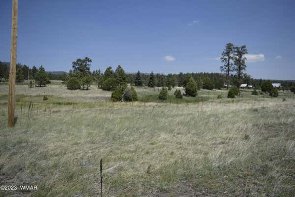 TBD CR 2275 1.22 ACRE, NUTRIOSO, AZ 85932, photo 2 of 5